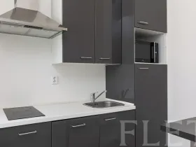 Pronájem bytu 1+1, Praha - Holešovice, Kamenická, 40 m2