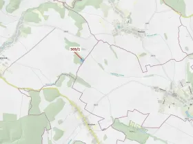 Dražba lesa, Přemyslovice, 7049 m2