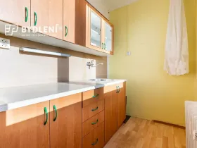 Prodej bytu 1+1, Hrob, Rybniční, 27 m2