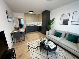 Pronájem bytu 3+kk, Ostrava, Dr. Martínka, 54 m2