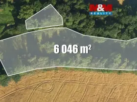 Prodej louky, Bílá - Hradčany, 6046 m2