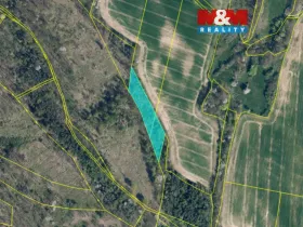 Prodej lesa, Kravaře, 4458 m2