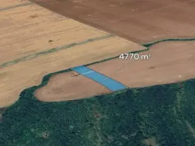 Prodej podílu pole, Nedachlebice, 1192 m2