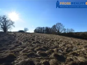 Prodej pozemku pro bydlení, Mirotice, 9991 m2