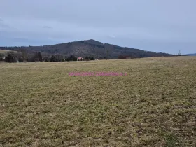 Prodej pozemku pro bydlení, Velká Bukovina, 1263 m2