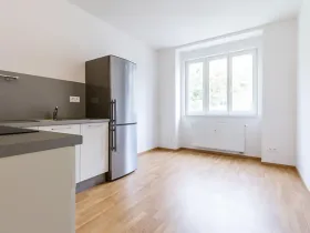 Pronájem bytu 1+1, Praha - Smíchov, Podbělohorská, 45 m2