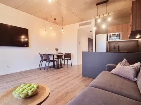 Pronájem bytu 2+kk, Brno, V rejích, 49 m2