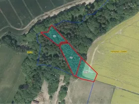 Prodej lesa, Markvartice, 3244 m2