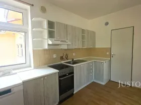 Pronájem bytu 1+kk, Písek, Krokova, 42 m2