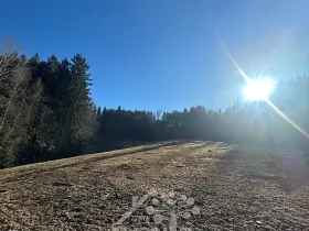 Prodej louky, Bozkov, 15029 m2