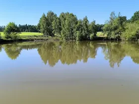 Prodej rybníku, Okrouhlá, 6048 m2