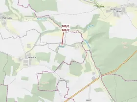 Dražba lesa, Osek, 1823 m2