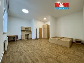 Pronájem bytu 1+kk, Ostrava - Vítkovice, Ruská, 36 m2