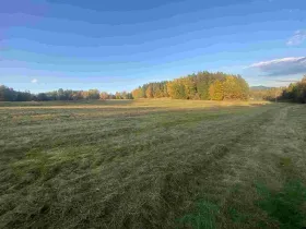 Prodej pole, Cvikov - Trávník, 7470 m2