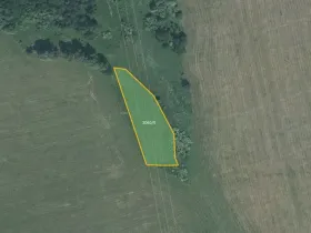 Prodej louky, Vítkov, 5637 m2