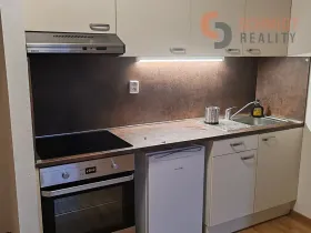 Pronájem bytu 1+kk, Šakvice, Hlavní, 32 m2