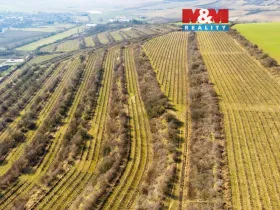 Prodej pole, Morkůvky, 2424 m2