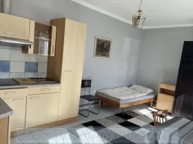 Pronájem pokoje, Praha - Vinohrady, Budečská, 25 m2