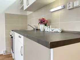 Pronájem bytu 1+1, Litvínov, Rooseveltova, 37 m2