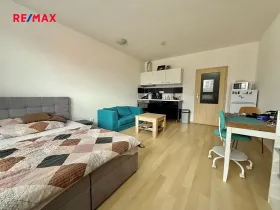 Pronájem bytu 1+kk, Plzeň, Květná, 35 m2
