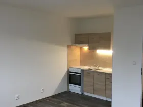 Pronájem bytu 1+1, Frýdlant, Lesní, 42 m2