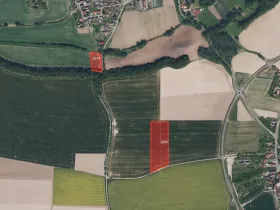 Prodej pole, Černíkovice, 7381 m2