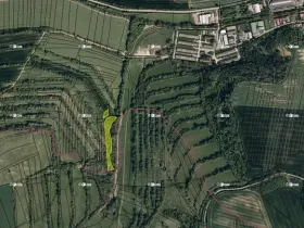 Prodej podílu pole, Boršice, 8735 m2