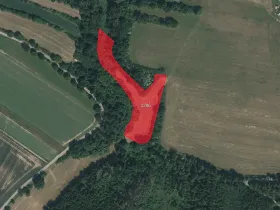 Prodej louky, Radkovice u Budče, 6873 m2