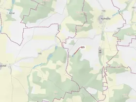 Dražba lesa, Kuřimany, 1719 m2