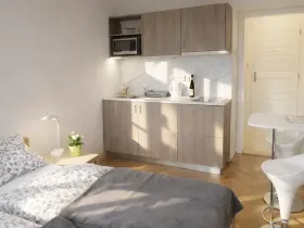 Pronájem bytu 1+kk, Praha - Žižkov, Fibichova, 25 m2