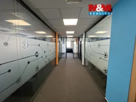 Pronájem kanceláře, Ostrava - Moravská Ostrava, Kounicova, 224 m2