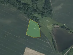 Prodej pole, Čížová, 12153 m2