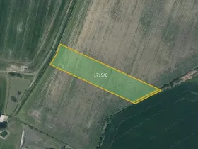 Prodej pole, Dobrovice, 4680 m2