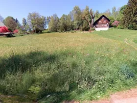 Prodej zahrady, Bartošovice v Orlických horách, 1066 m2