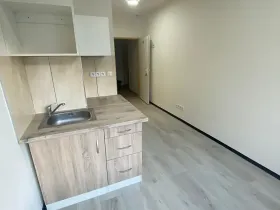 Pronájem bytu 1+kk, Praha - Hlubočepy, Na Zlíchově, 20 m2