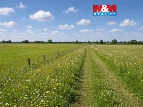 Prodej louky, Třemošná, 16129 m2