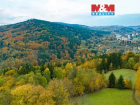 Prodej louky, Tanvald - Šumburk nad Desnou, 1589 m2