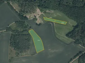 Prodej pole, Čížová, 5743 m2