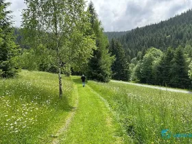 Prodej lesa, Krásná, 21810 m2