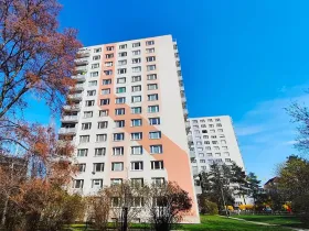 Pronájem bytu 1+kk, Praha - Michle, Bítovská, 27 m2