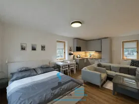 Prodej bytu 1+kk, Deštné v Orlických horách, 44 m2