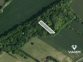 Prodej podílu lesa, Telnice, 462 m2