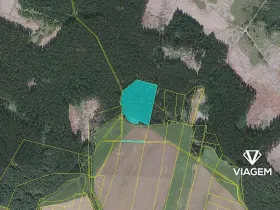 Prodej podílu lesa, Buková, 821 m2