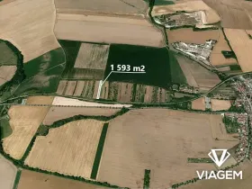 Prodej zahrady, Němčice nad Hanou, 1593 m2