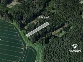 Prodej podílu lesa, Děkanovice, 948 m2