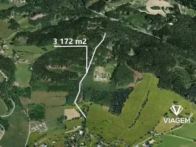 Prodej podílu lesa, Železný Brod, 528 m2