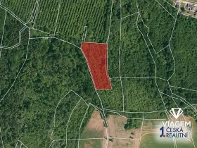 Prodej pole, Vinařice, 5664 m2