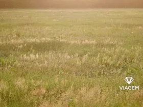 Prodej pole, Blatno, 7300 m2