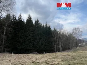 Prodej lesa, Košťálov - Kundratice, 4244 m2