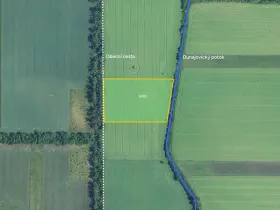 Prodej pole, Dolní Dunajovice, 29664 m2